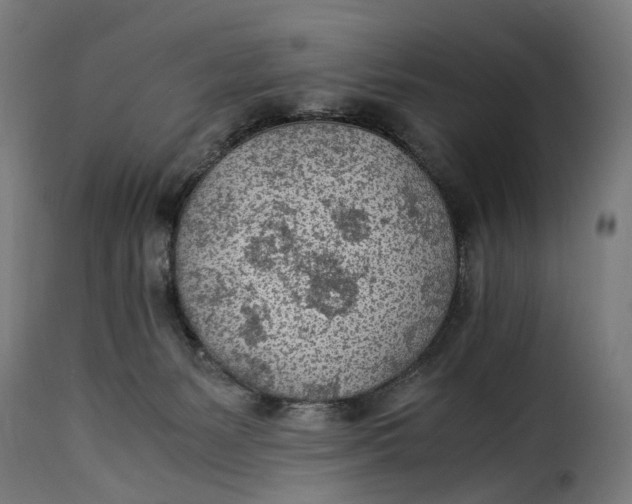 X0000115260127200911201715