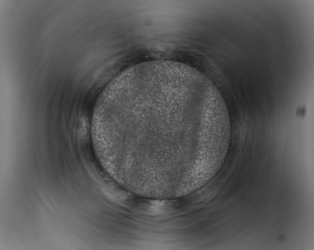 X0000115260130200911201715
