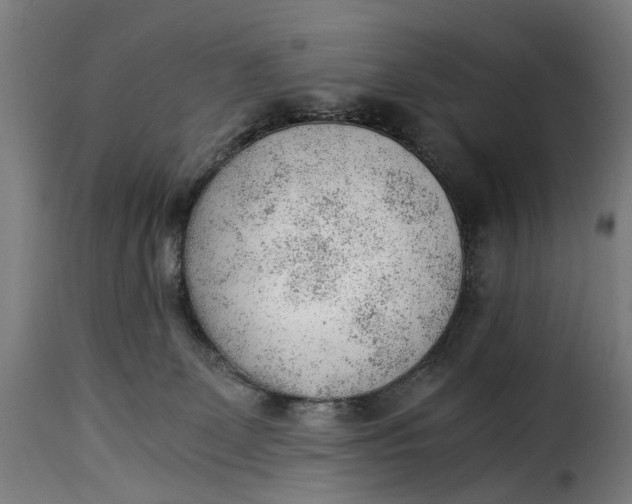 X0000115260131200911201715