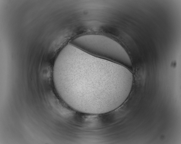 X0000115260132200911201715