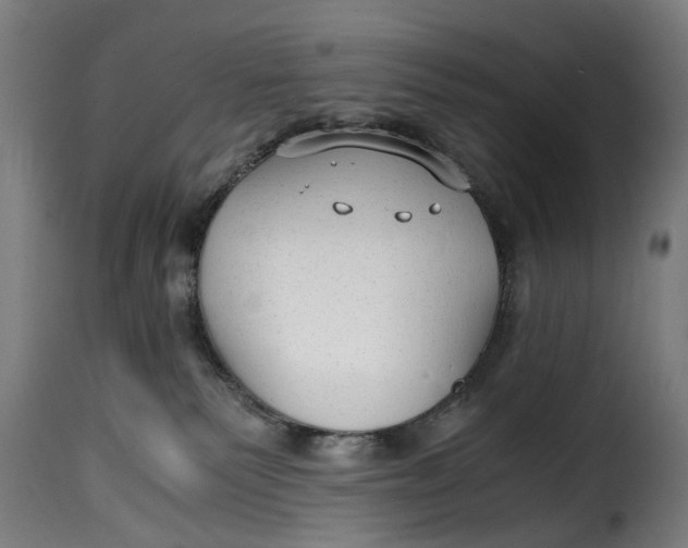 X0000115260135200911201715