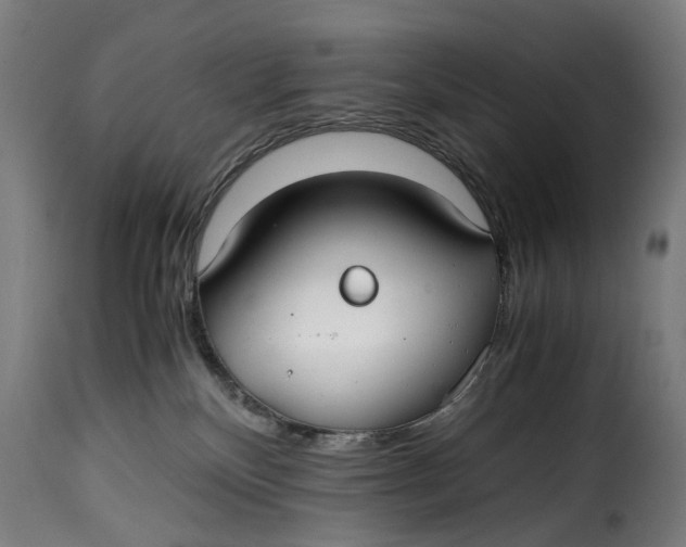 X0000115260136200911201715