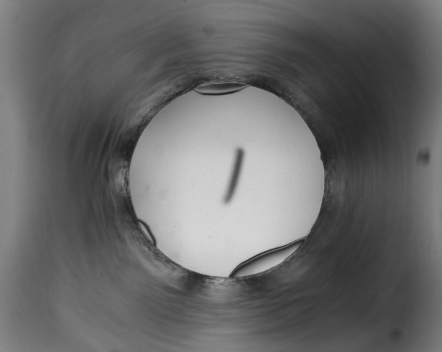 X0000115260141200911201715