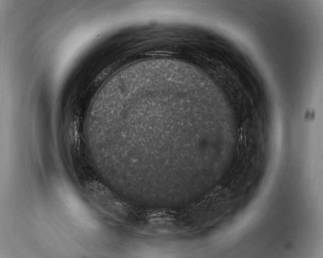 X0000115260146200911201714