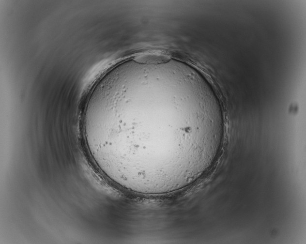 X0000115260149200911201714