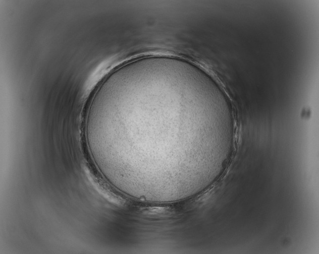 X0000115260151200911201714
