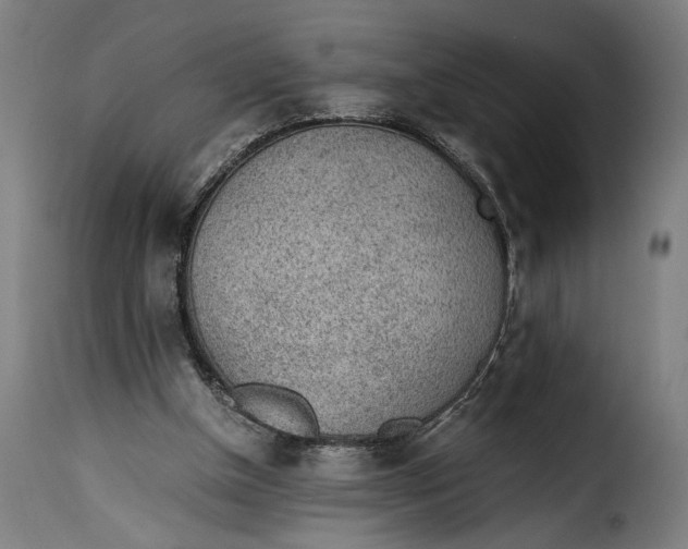 X0000115260154200911201714