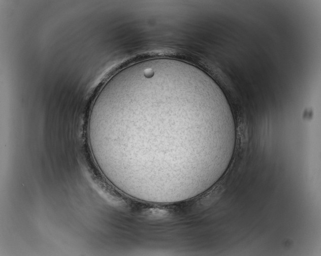 X0000115260159200911201714