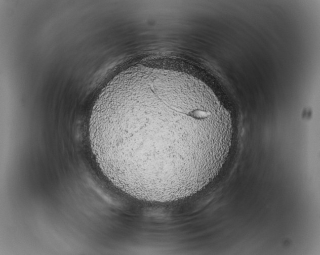 X0000115260161200911201714