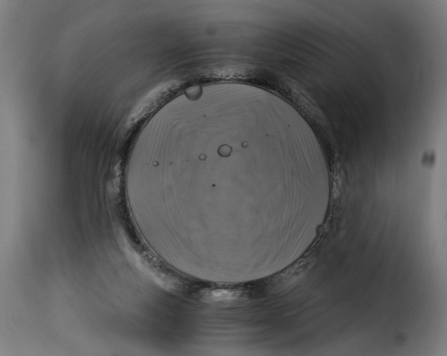 X0000115260163200911201714