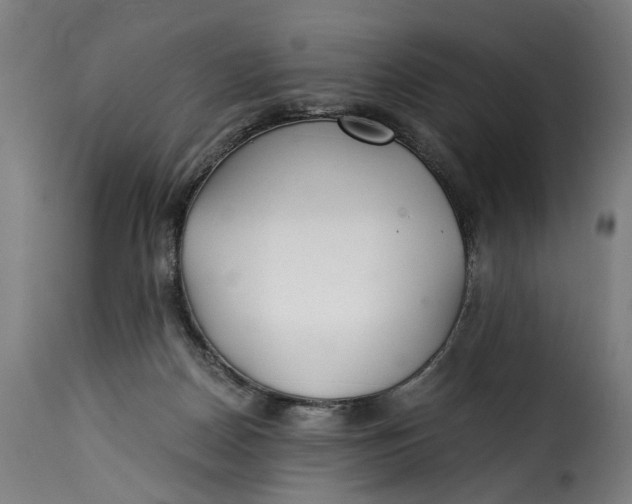 X0000115260170200911201714