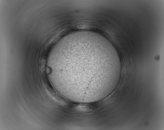 X0000115260171200911201714