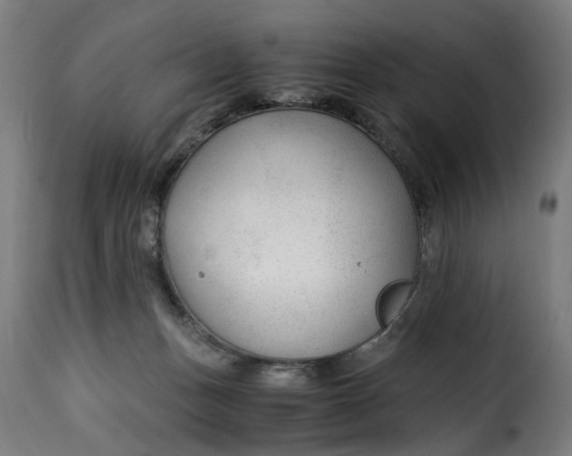 X0000115260175200911201714