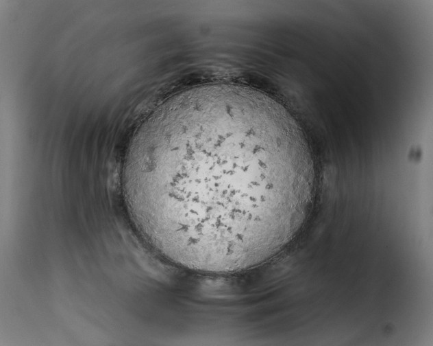 X0000115260177200911201714