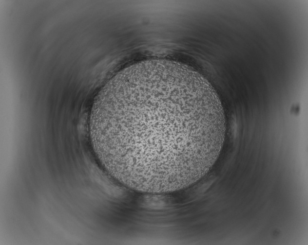 X0000115260181200911201714