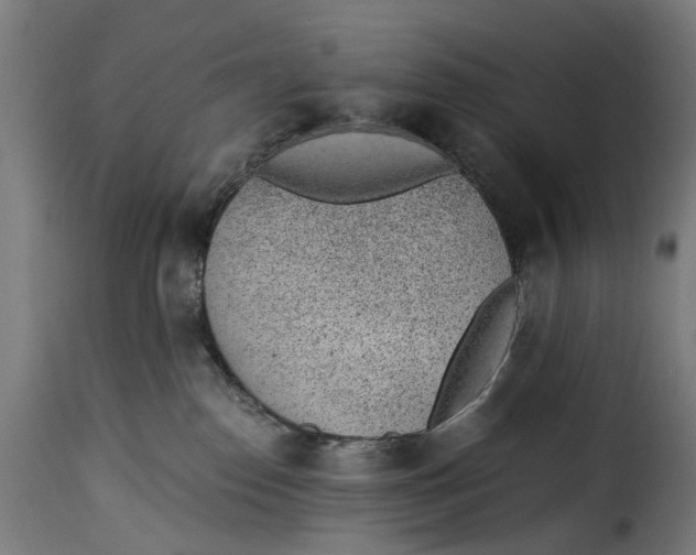 X0000115260186200911201714