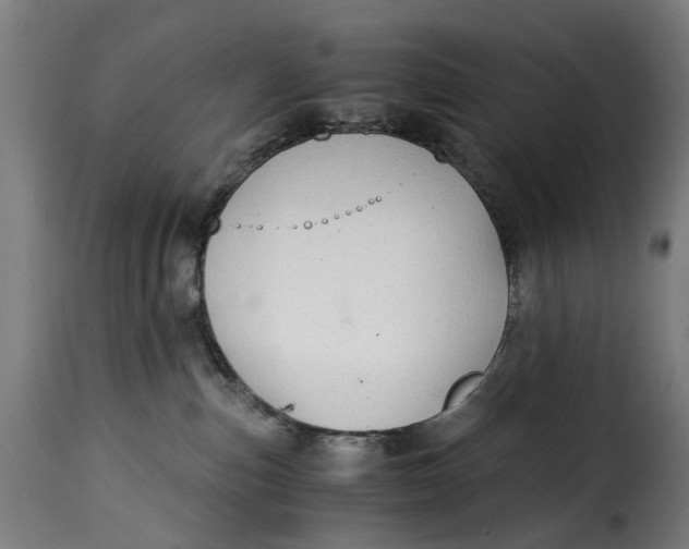 X0000115260187200911201714