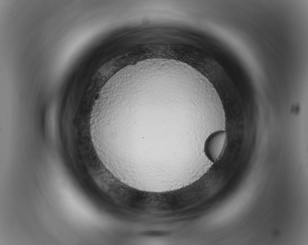X0000115260189200911201714