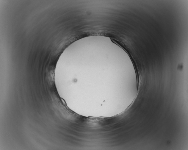 X0000115260190200911201714