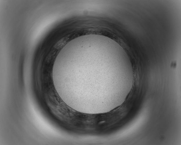 X0000115260191200911201714