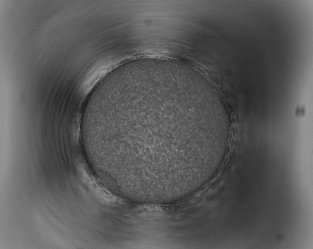 X0000115260194200911201714