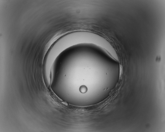 X0000115260195200911201714