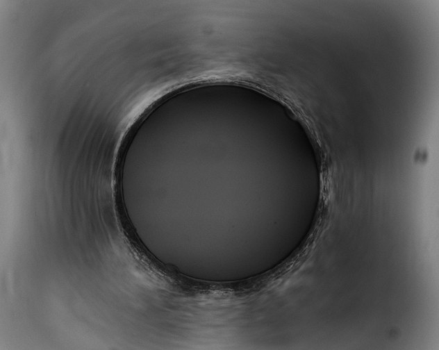 X0000115260196200911201714
