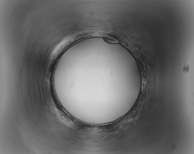 X0000115260197200911201714