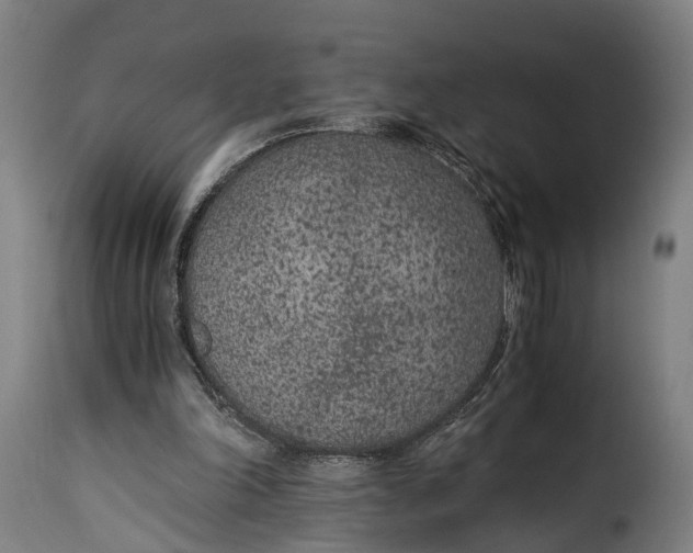 X0000115260198200911201714
