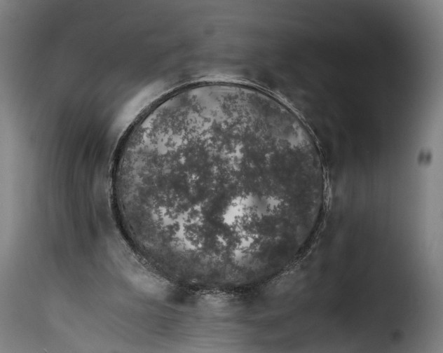 X0000115260199200911201714