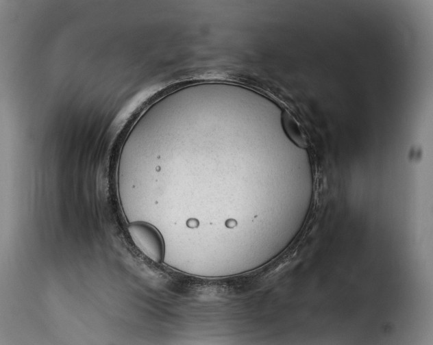 X0000115260200200911201714