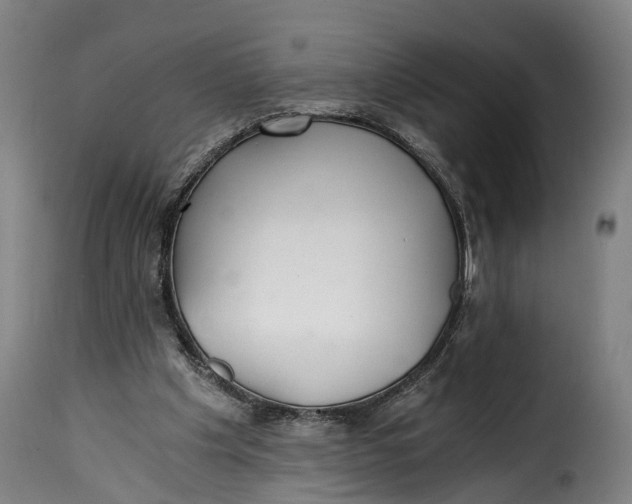 X0000115260201200911201714