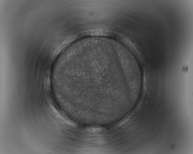 X0000115260202200911201714