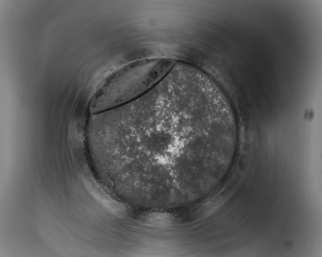 X0000115260203200911201714