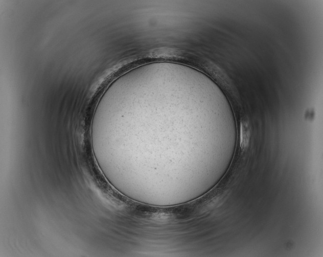X0000115260204200911201714