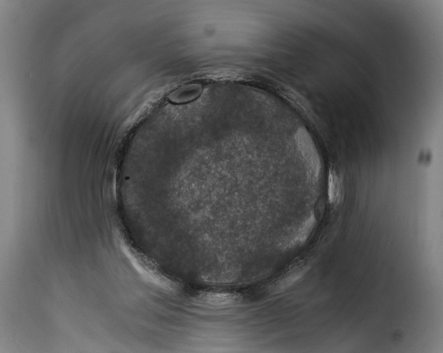 X0000115260205200911201714