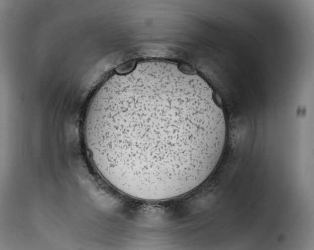 X0000115260207200911201714