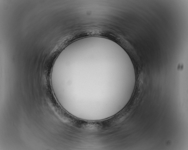 X0000115260209200911201714