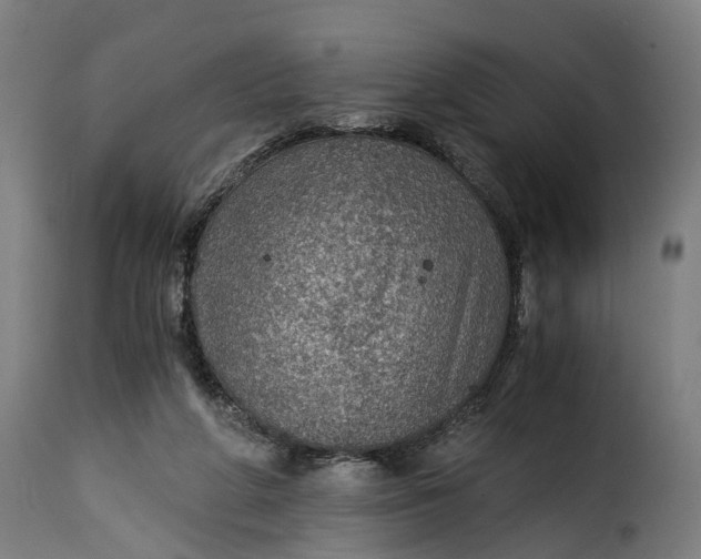 X0000115260210200911201714