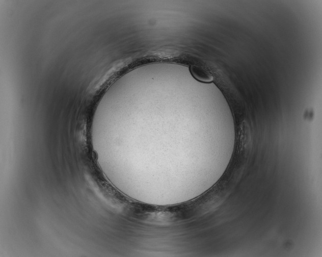 X0000115260212200911201714
