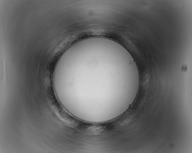 X0000115260213200911201713