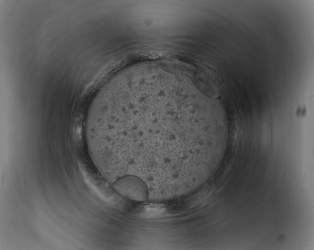 X0000115260214200911201713