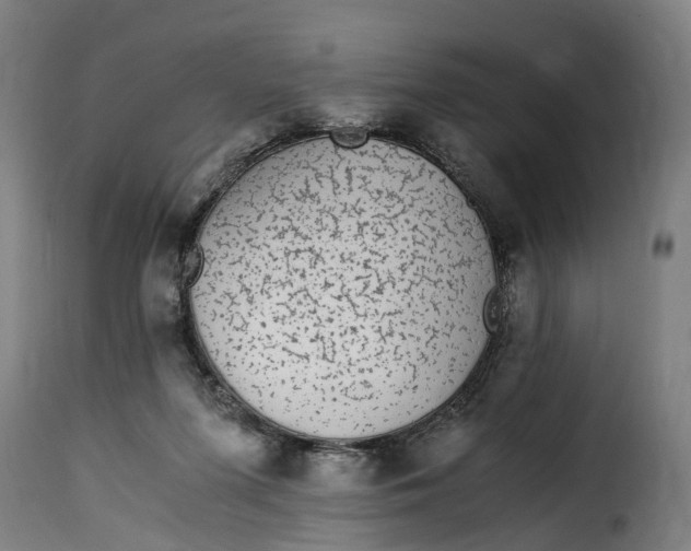 X0000115260215200911201713