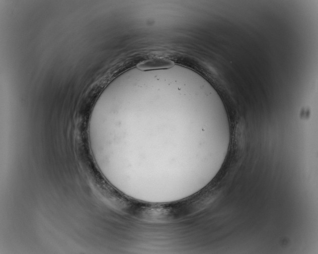X0000115260217200911201713