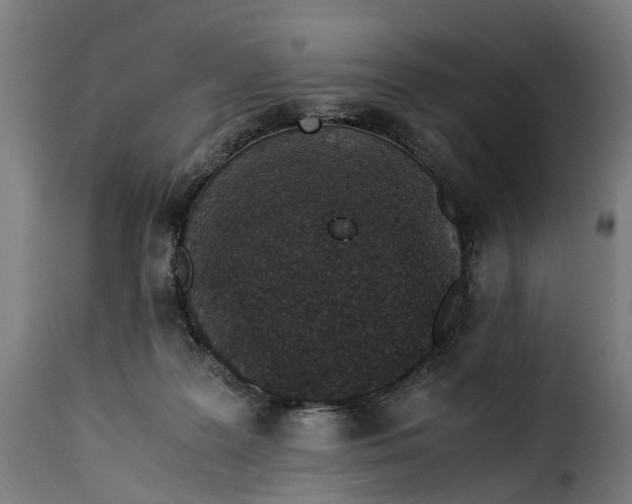 X0000115260219200911201713