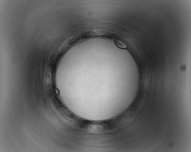 X0000115260220200911201713