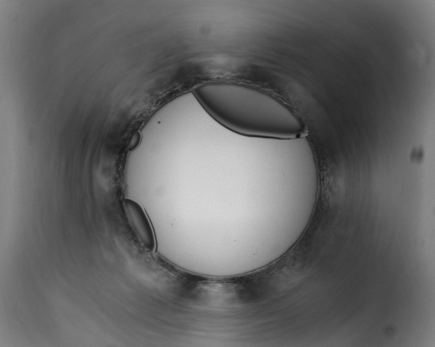 X0000115260221200911201713