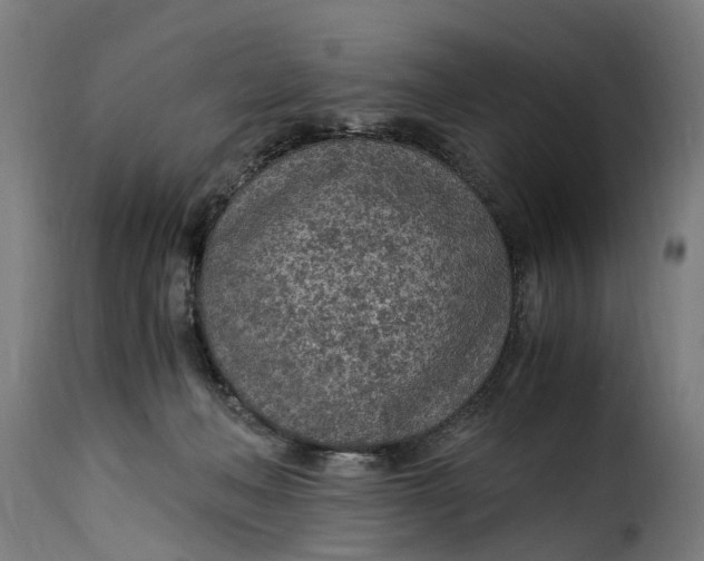 X0000115260222200911201713