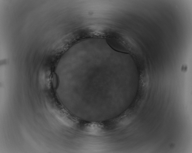 X0000115260223200911201713