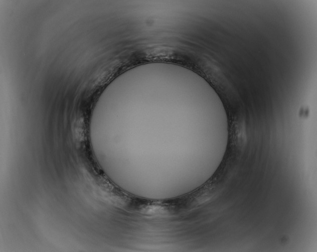X0000115260224200911201713